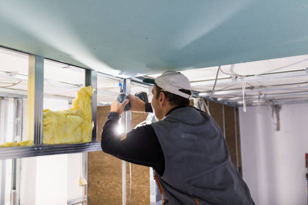 Best Spray Foam Insulation in New Market, VA